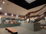 神流町恐竜センターの写真のサムネイル写真14