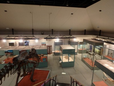 神流町恐竜センターの写真15