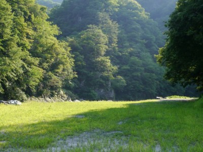 せせらぎ街道（神流町恐竜センター）の写真9