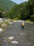 せせらぎ街道（神流町恐竜センター）の写真のサムネイル写真15