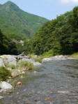 せせらぎ街道（神流町恐竜センター）の写真のサムネイル写真17