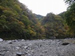 せせらぎ街道（神流町恐竜センター）の写真のサムネイル写真21