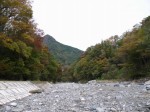 せせらぎ街道（神流町恐竜センター）の写真のサムネイル写真22