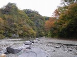 せせらぎ街道（神流町恐竜センター）の写真のサムネイル写真25