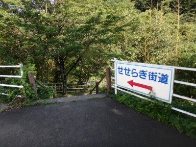 せせらぎ街道（神流町恐竜センター）の写真17