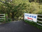 せせらぎ街道（神流町恐竜センター）の写真のサムネイル写真33