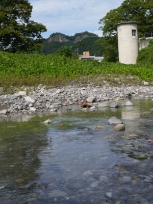 青岩公園の写真17