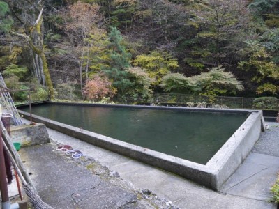 せいご園（志賀坂釣りセンター）の写真