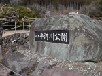 小平河川公園の写真のサムネイル写真10