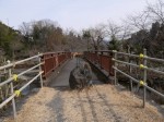 小平河川公園の写真のサムネイル写真13