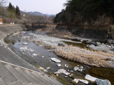 小平河川公園の写真15