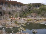 小平河川公園の写真のサムネイル写真17