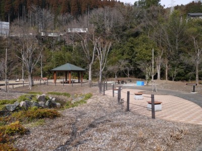 小平河川公園の写真21