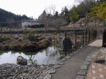 小平河川公園の写真のサムネイル写真22