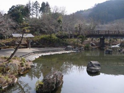 小平河川公園の写真24