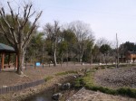 小平河川公園の写真のサムネイル写真26
