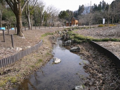 小平河川公園の写真28