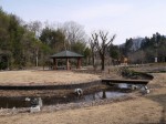 小平河川公園の写真のサムネイル写真34