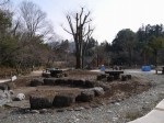 小平河川公園の写真のサムネイル写真35