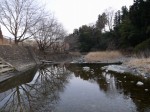 小平河川公園の写真のサムネイル写真40