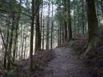 妹ヶ谷不動の滝の写真のサムネイル写真12