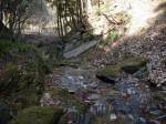 妹ヶ谷不動の滝の写真のサムネイル写真25