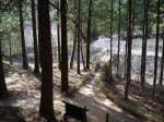 妹ヶ谷不動の滝の写真のサムネイル写真35