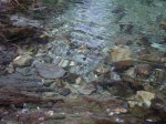 妹ヶ谷不動の滝の写真のサムネイル写真46