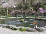 鮎川魚苑の写真のサムネイル写真5