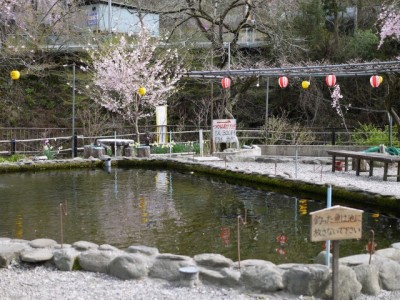鮎川魚苑の写真6