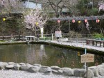鮎川魚苑の写真のサムネイル写真6