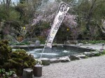 鮎川魚苑の写真のサムネイル写真7