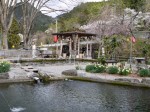 鮎川魚苑の写真のサムネイル写真15