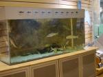 群馬自然史博物館の写真のサムネイル写真12