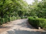 甘楽総合公園の写真のサムネイル写真6