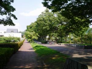 甘楽総合公園の写真37