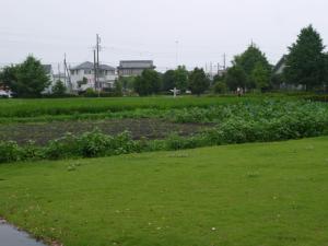 古代の里公園（岩宿遺跡）の写真