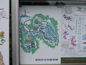 高崎市染料植物園の写真3