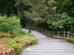 高崎市染料植物園の写真のサムネイル写真4