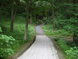 高崎市染料植物園の写真5