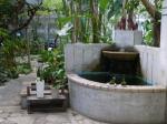 高崎市染料植物園の写真のサムネイル写真14