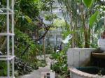 高崎市染料植物園の写真のサムネイル写真15