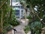 高崎市染料植物園の写真のサムネイル写真17