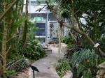 高崎市染料植物園の写真のサムネイル写真17
