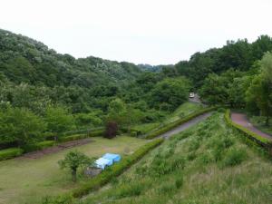 高崎市染料植物園の写真20