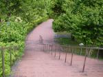 高崎市染料植物園の写真のサムネイル写真21