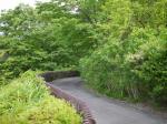 高崎市染料植物園の写真のサムネイル写真22