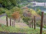 農村整備公園（下仁田町）の写真のサムネイル写真9
