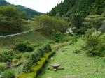 立沢川緑地の写真のサムネイル写真11