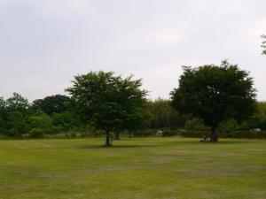 神流川リバーサイド公園の写真2